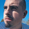 TheraWolf image